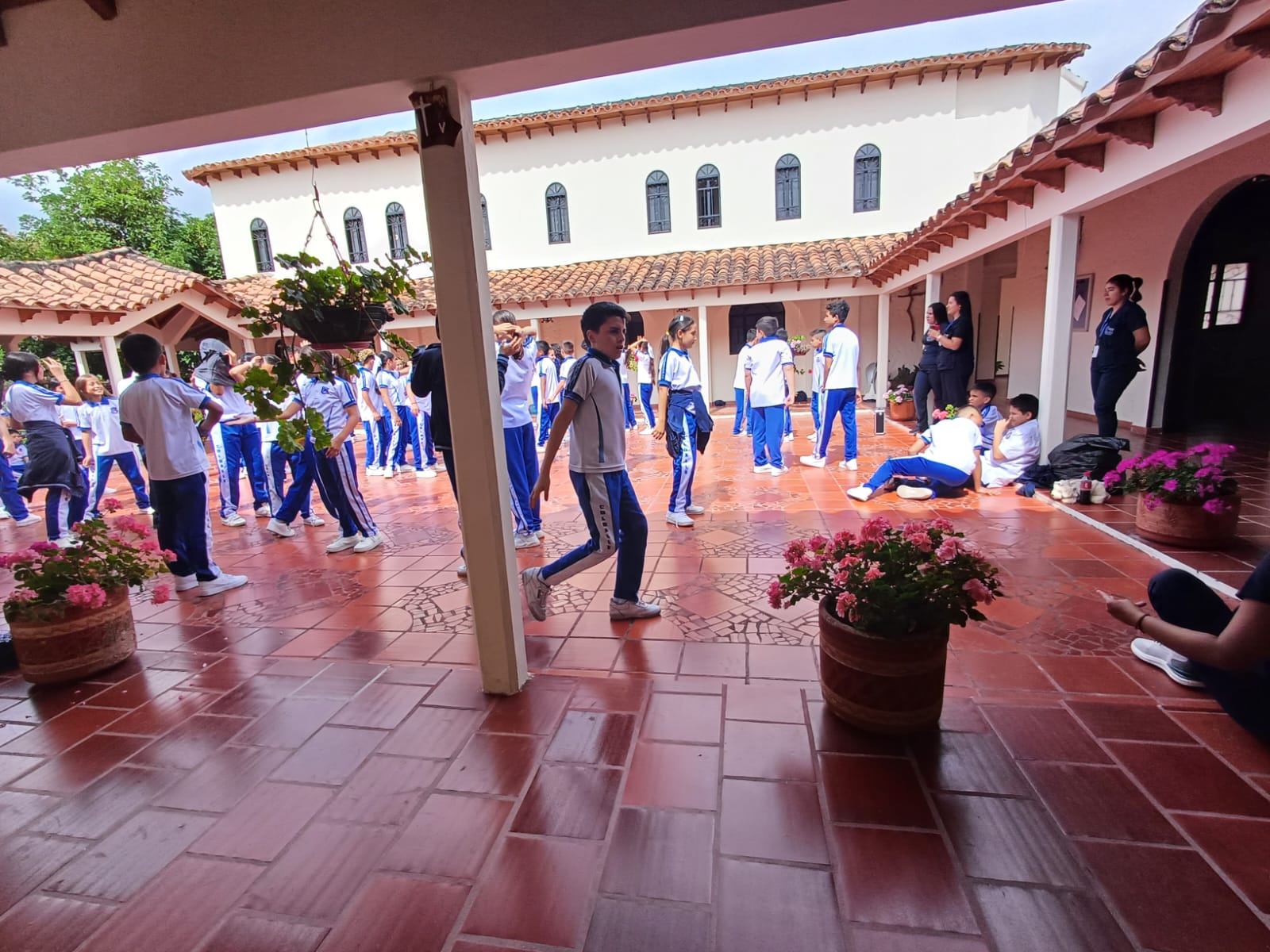 Descripción de la imagen