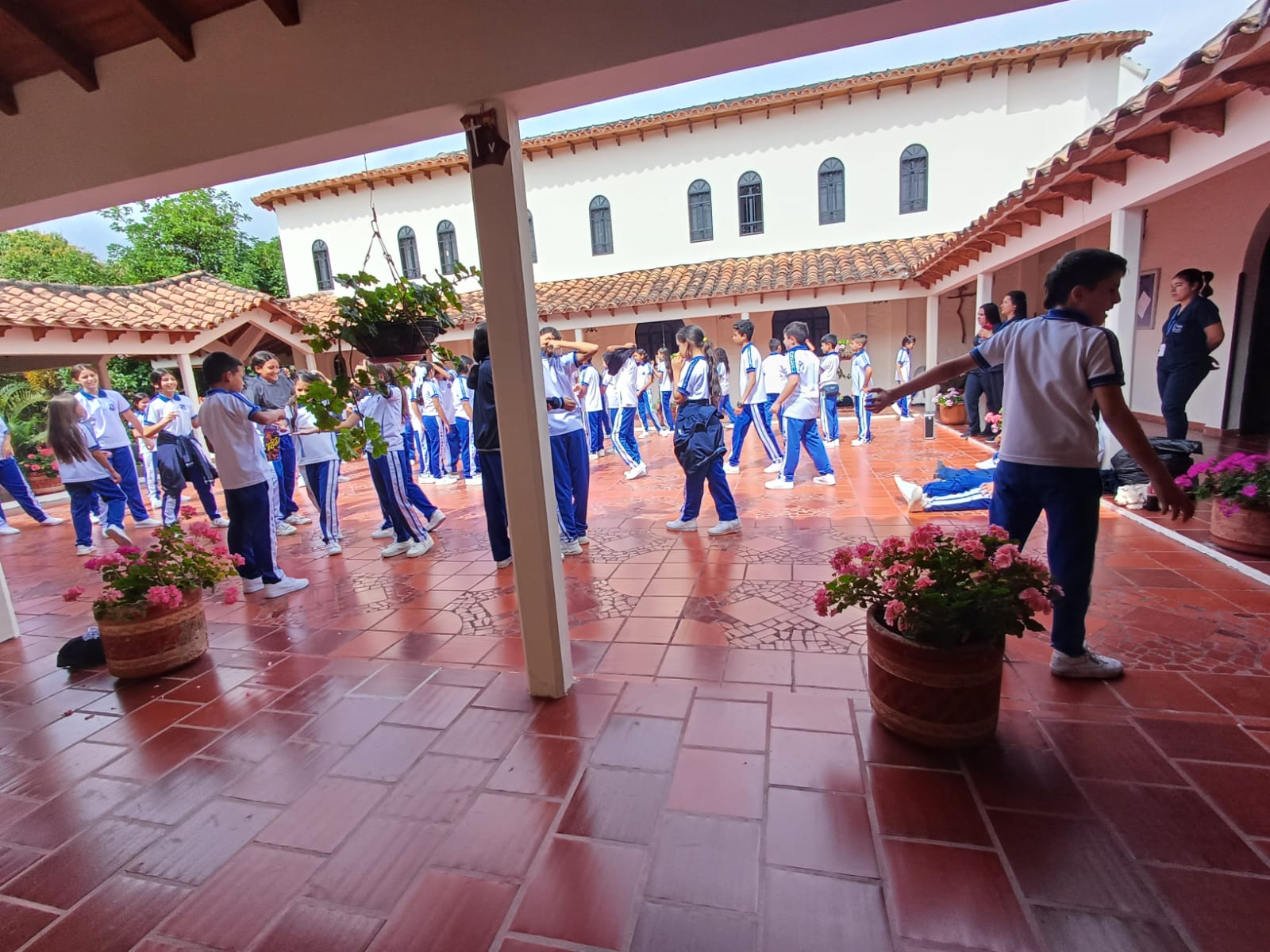 Descripción de la imagen